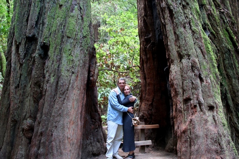 ���� ���